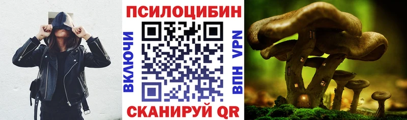 цена   KRAKEN   Галлюциногенные грибы GOLDEN TEACHER  Вуктыл 